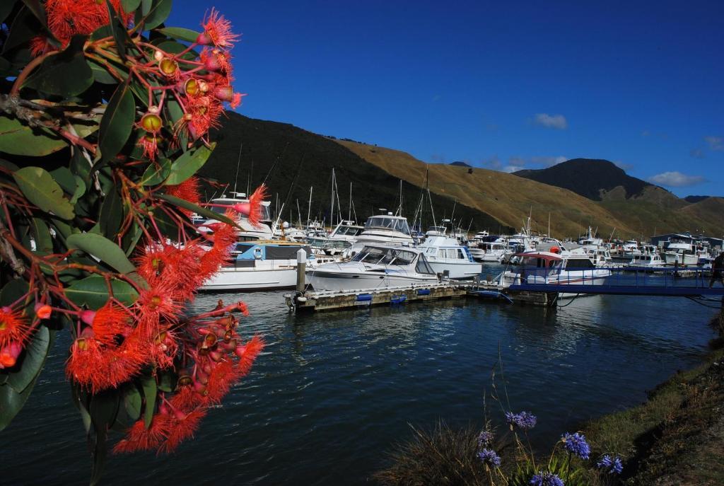Blue Moon Lodge Havelock Bagian luar foto